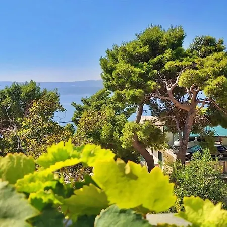 Apartman Gajo Omis