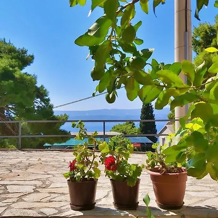 Gajo Apartament *