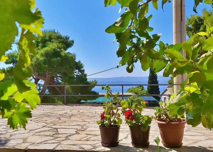 Gajo Omiš